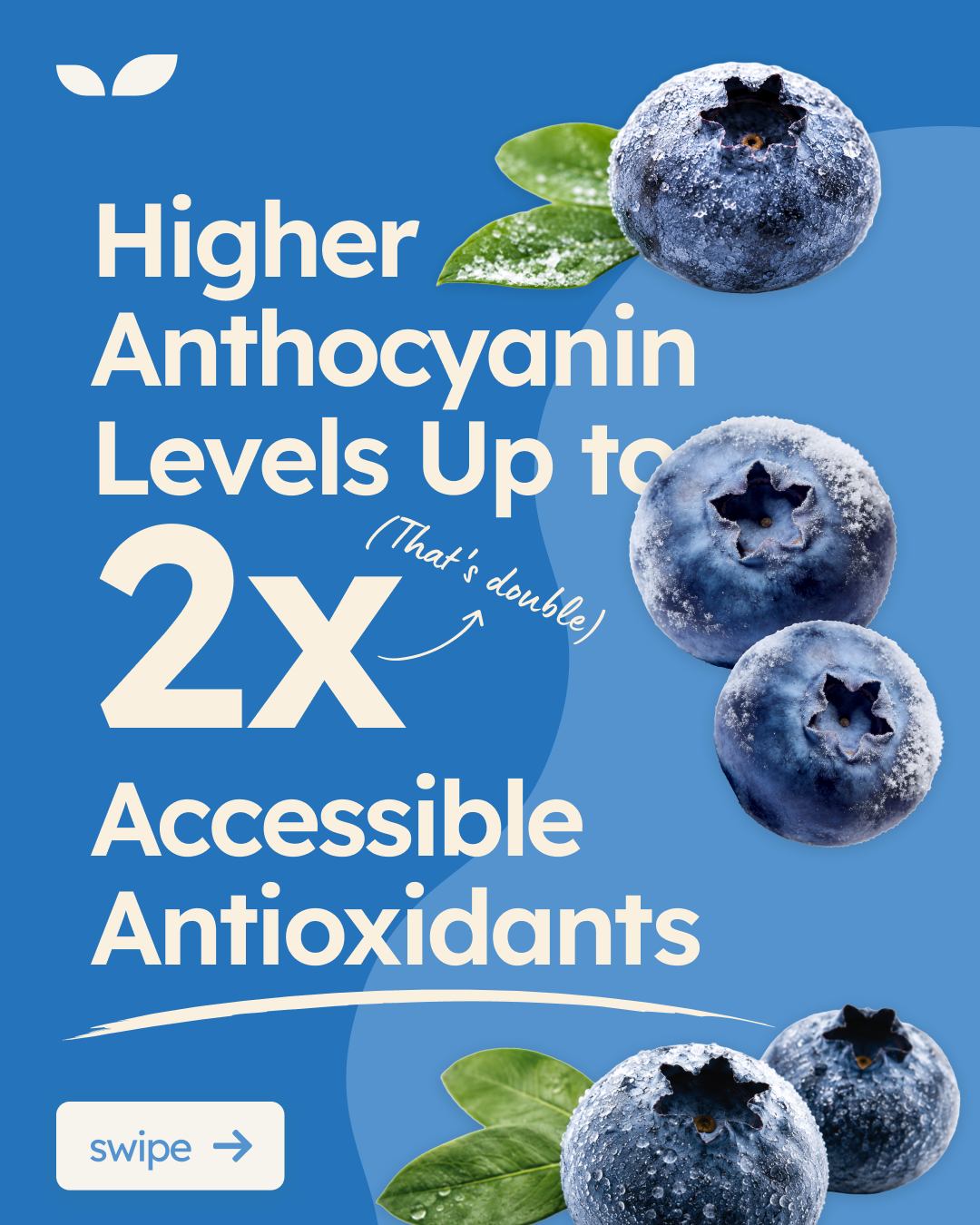 Science confirms it: Freezing ruptures cell walls and can significantly boost the availability of anthocyanins.