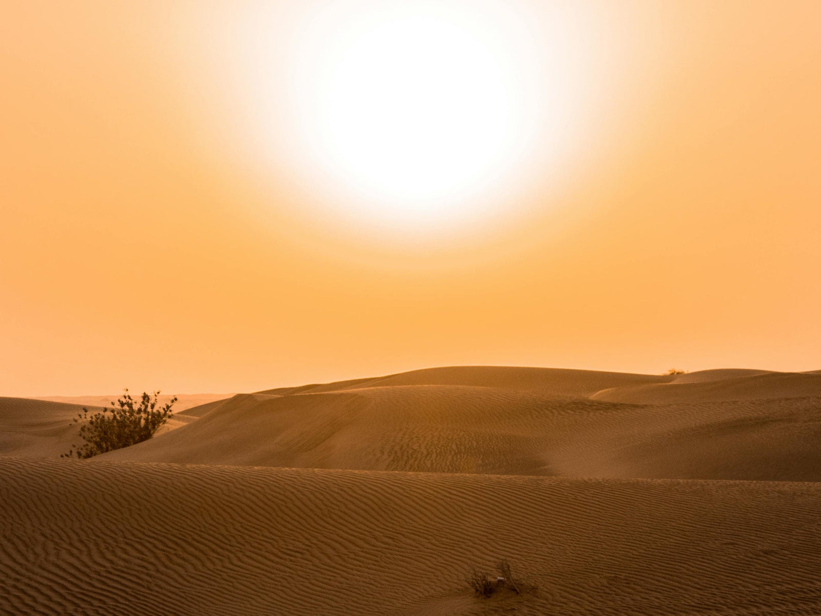 why Dubai's heat changes the way people snack